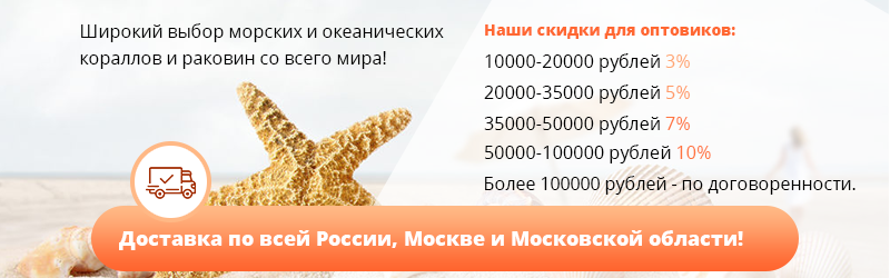 Добро пожаловать!